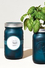 Garden Jar - Basil<br>Indoor Kit by Modern Sprout